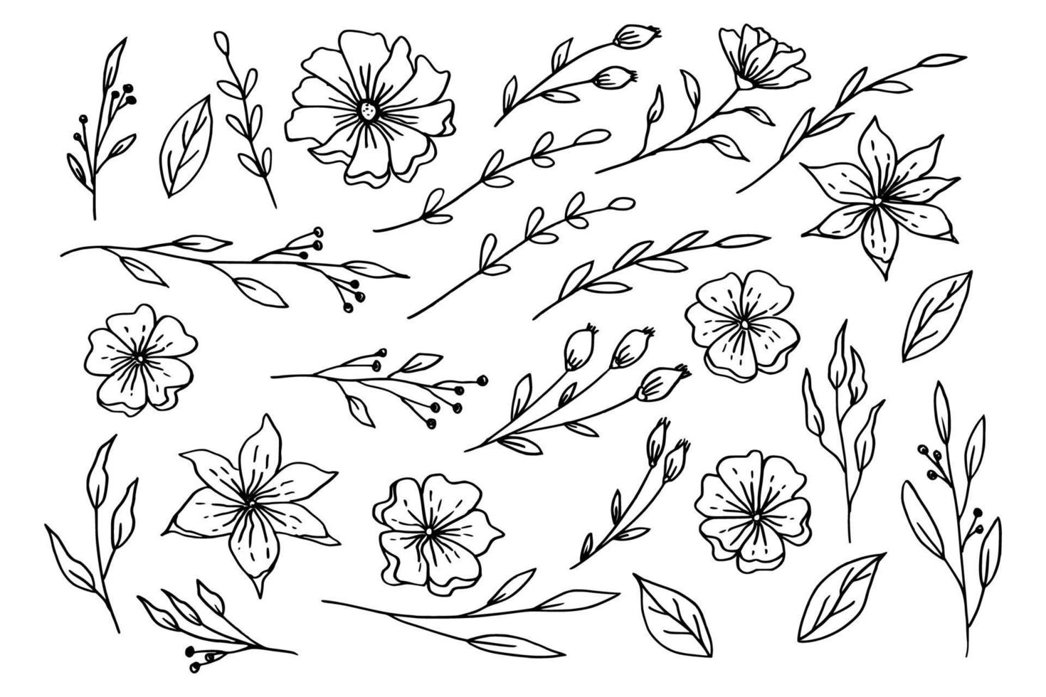 Hand drawn leaves and flowers collection organic floral decorative vector