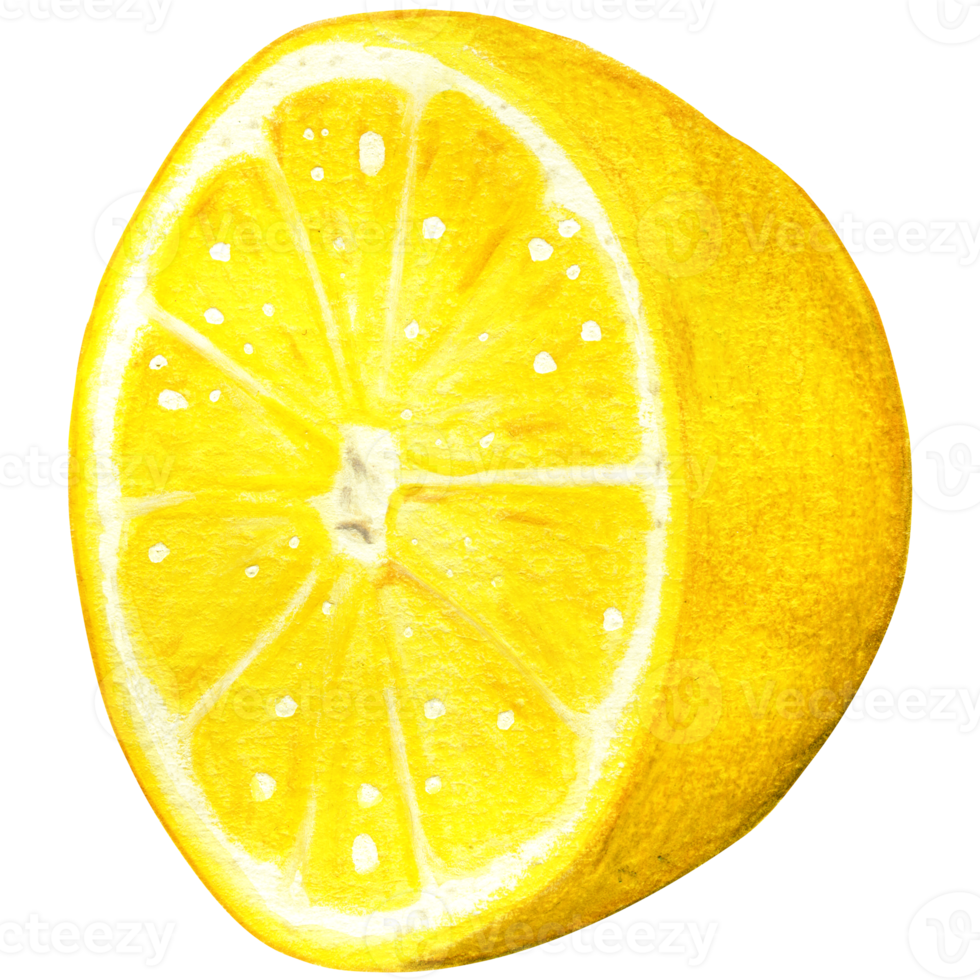 Watercolor lemon illustration isolated png