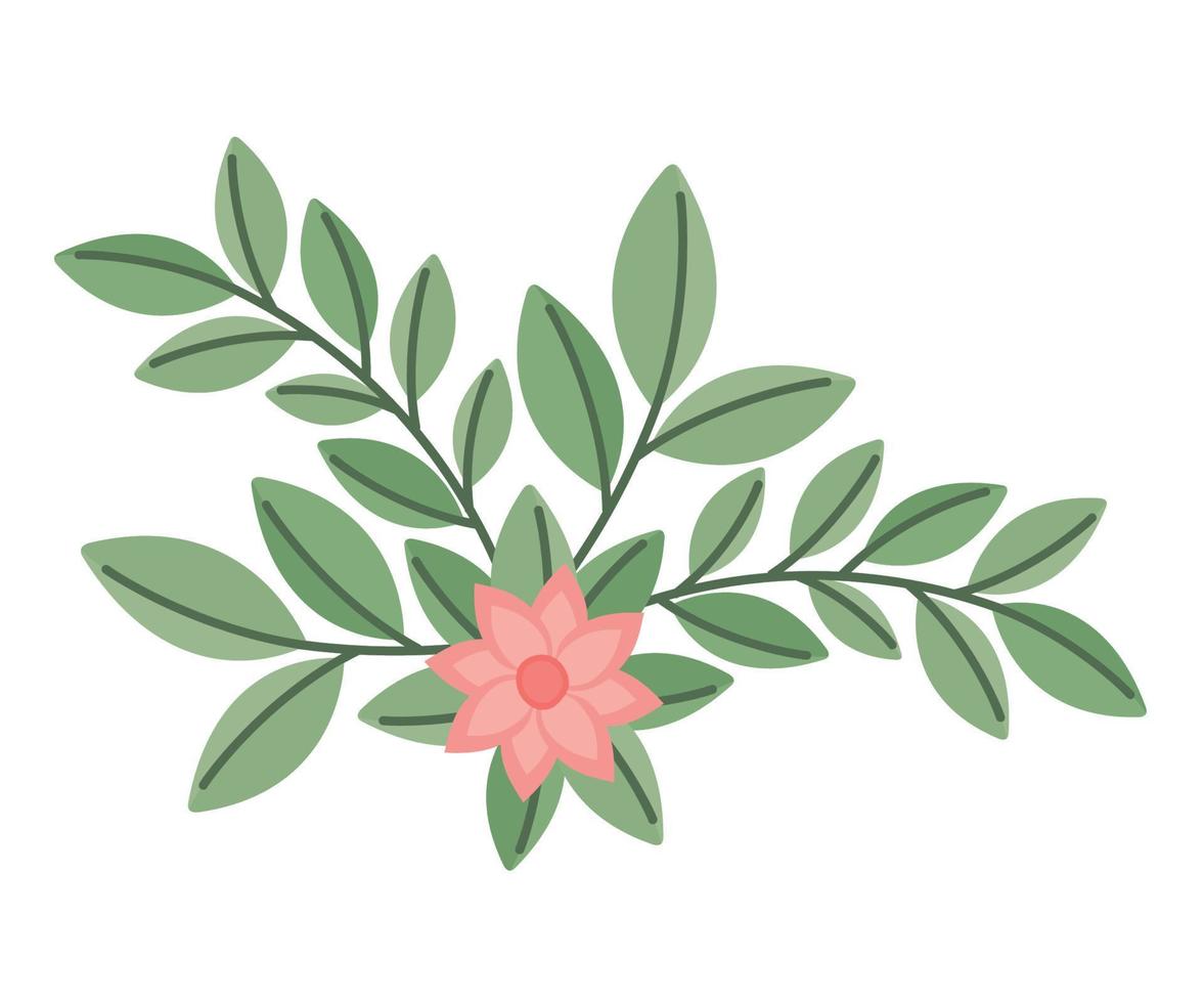 branch with flower vector