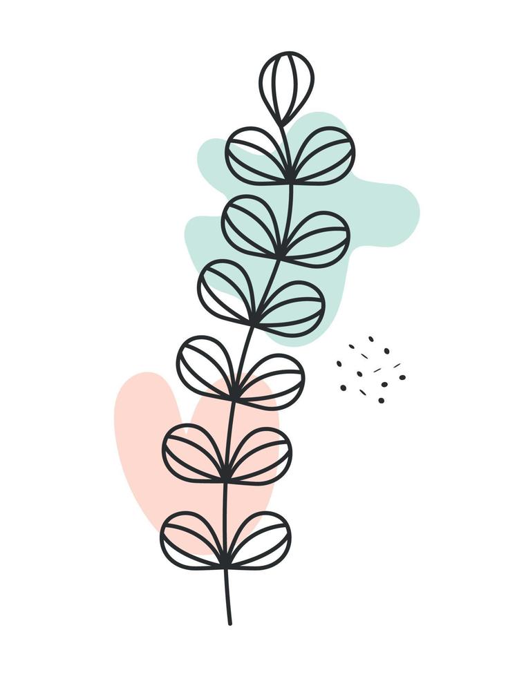 botany plant illustration vector