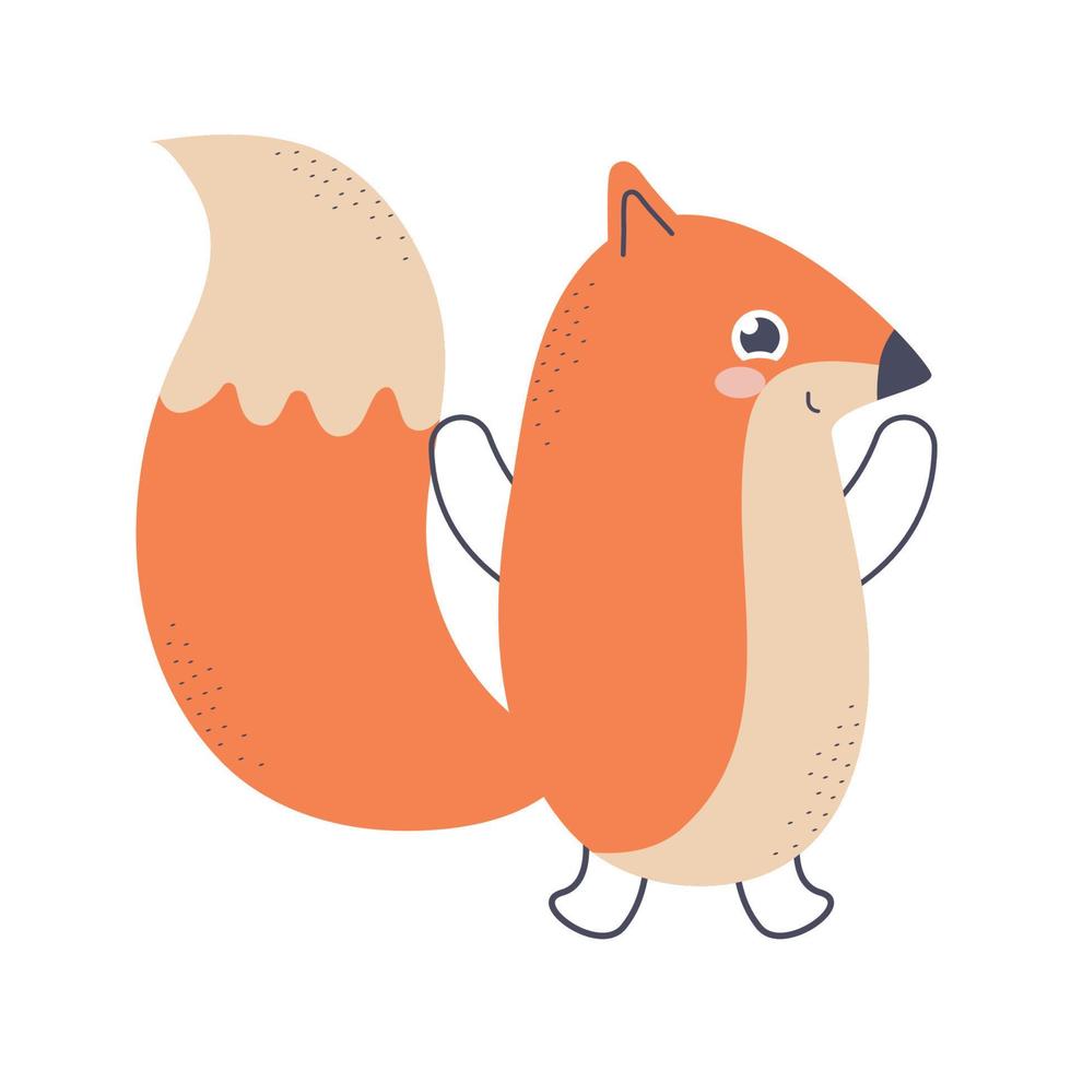 cute squirrel illustration vector