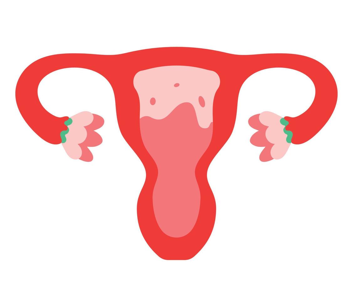 red uterus design vector