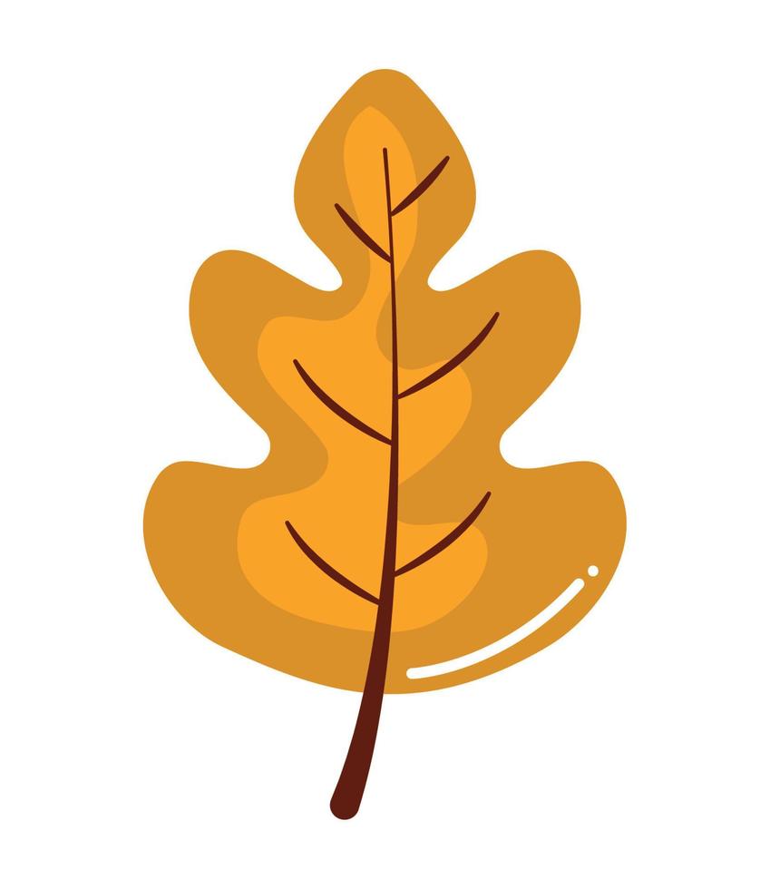 fall leaf design vector