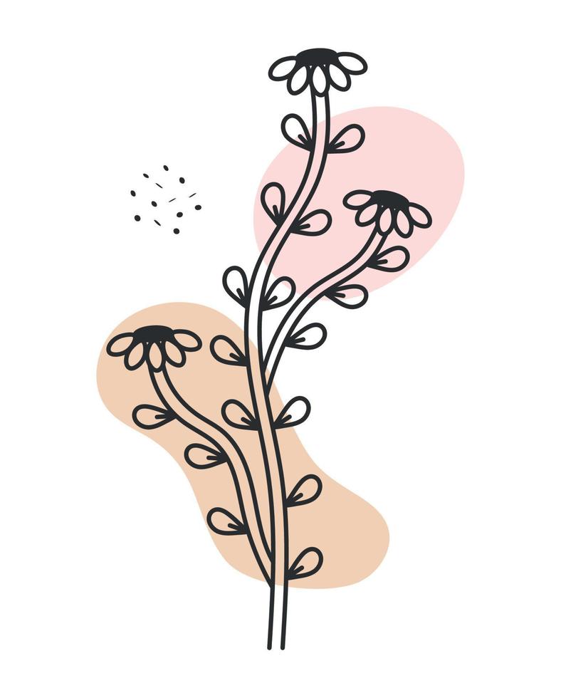 botanical plant design vector
