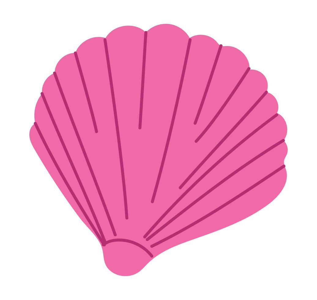 pink conch shell vector