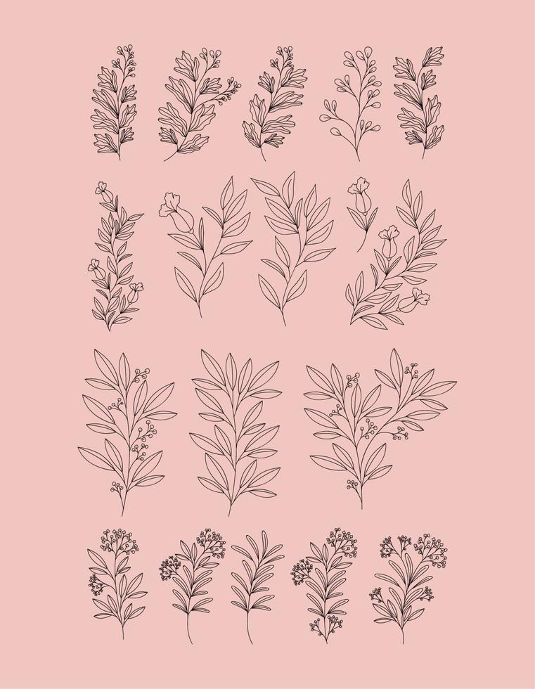 plants branches set vector