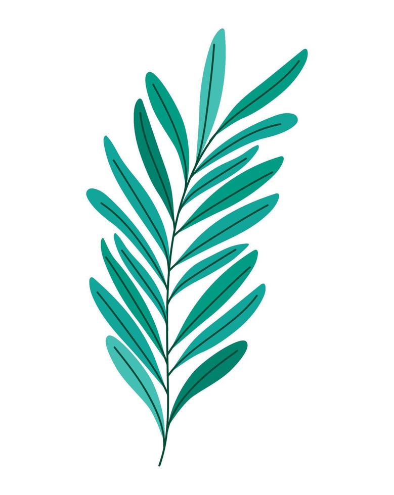 branch of leaves vector