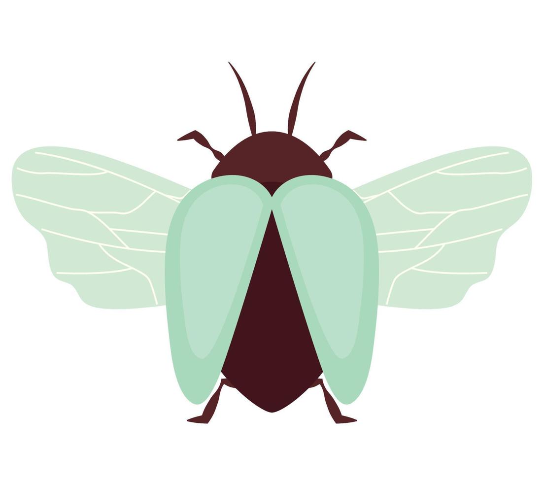 colored beetle illustration vector