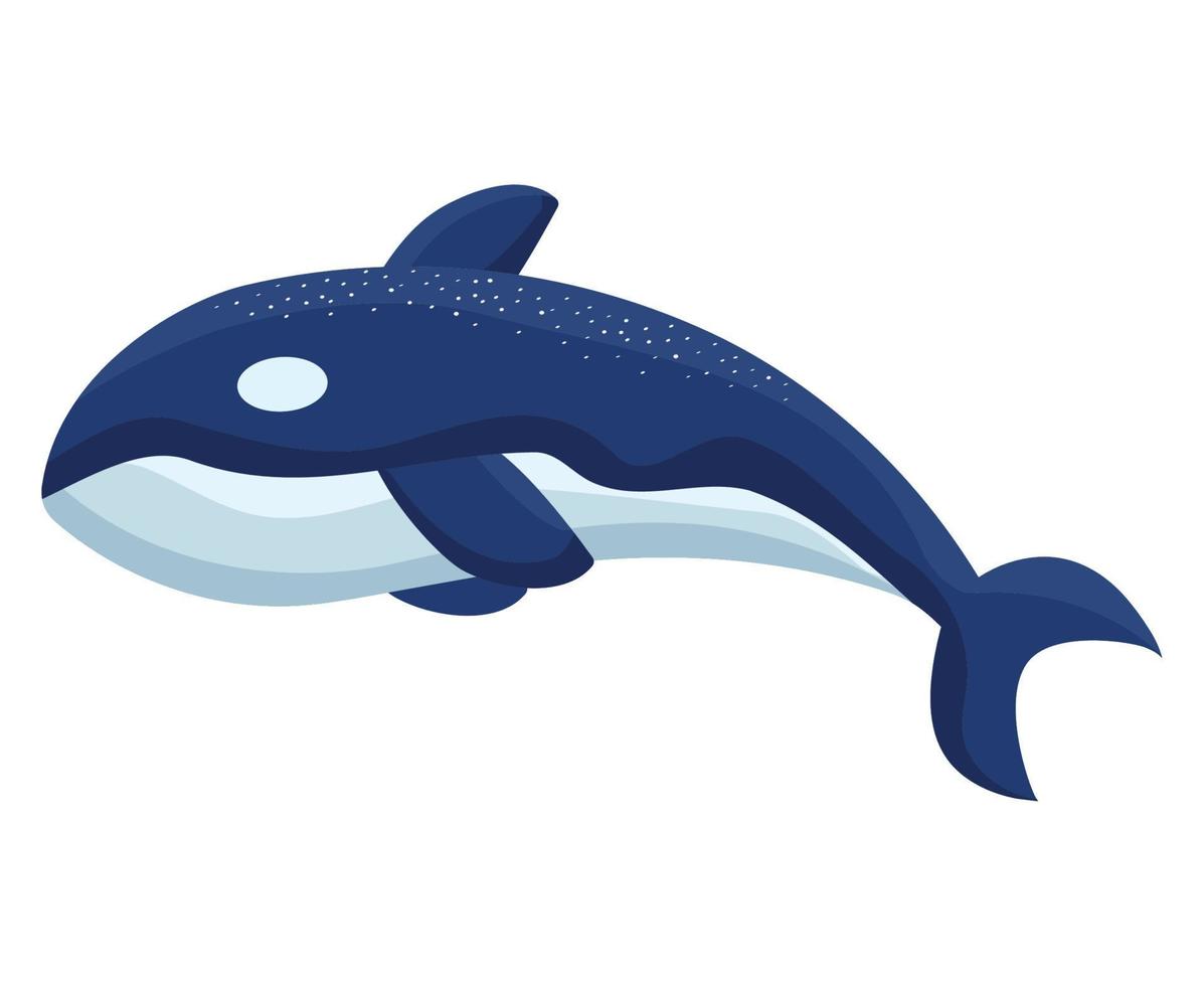 asesino ballena ilustración vector