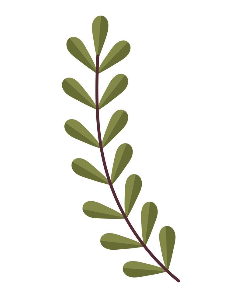 rama de hojas verdes vector