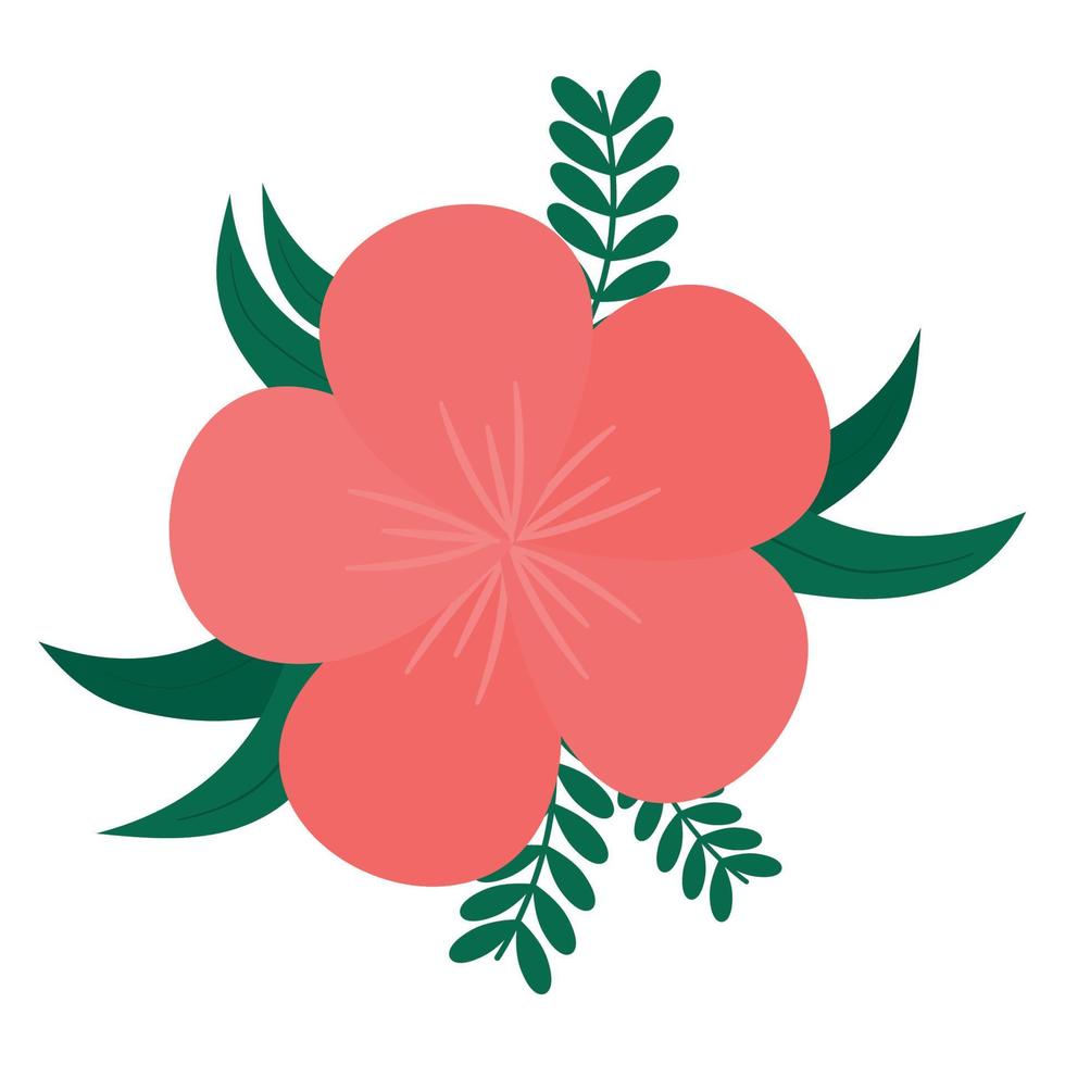 big pink flower vector