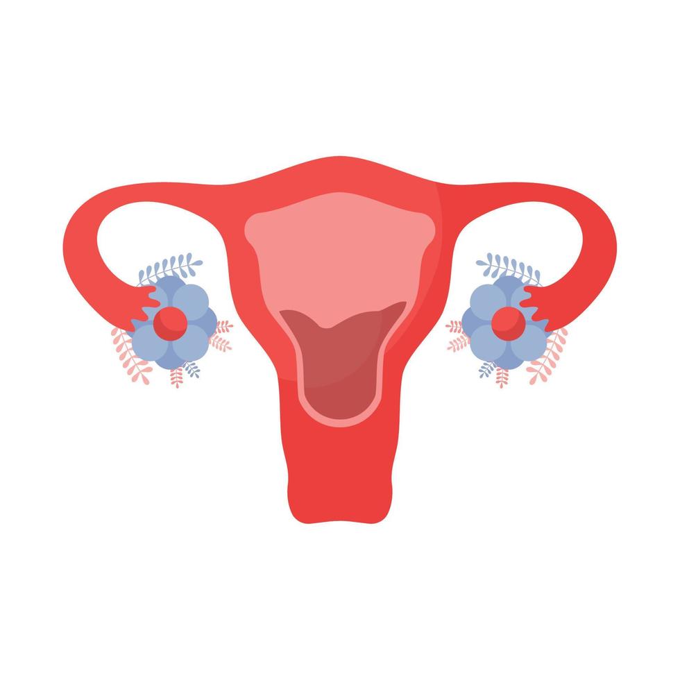 red uterus design vector