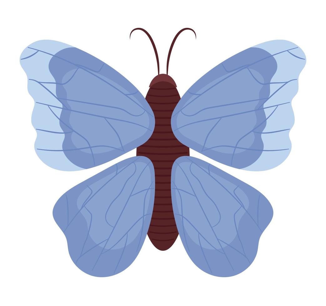 de colores mariposa diseño vector