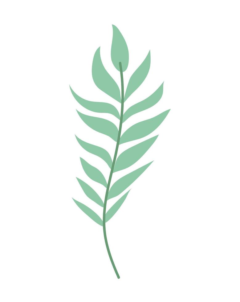 plant branch image vector