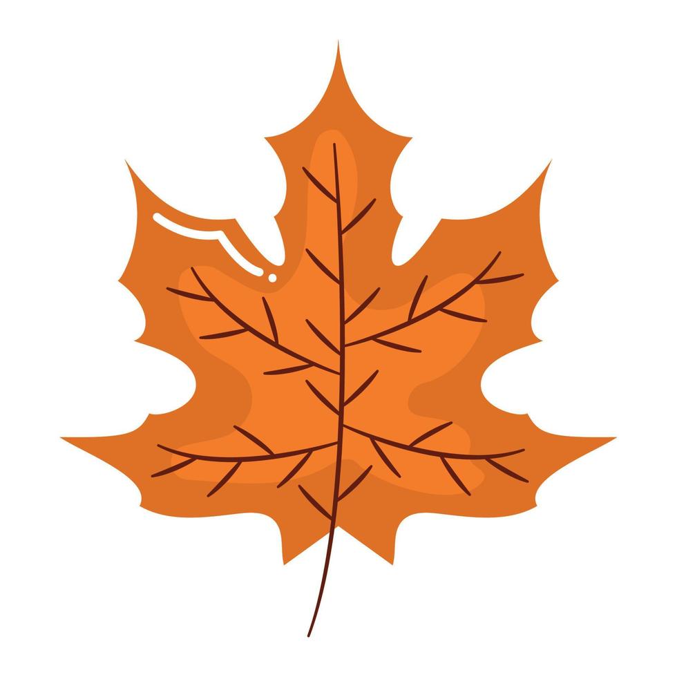 fall leaf illustration vector