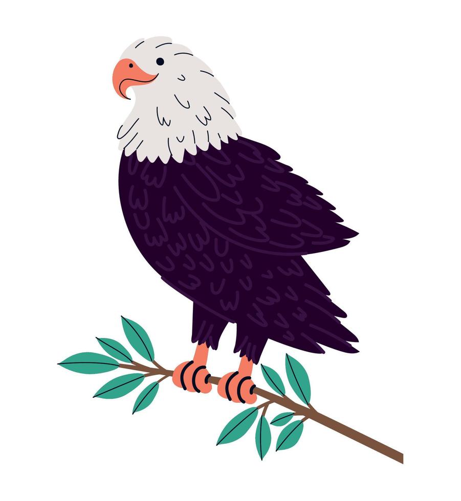 calvo águila ilustración vector