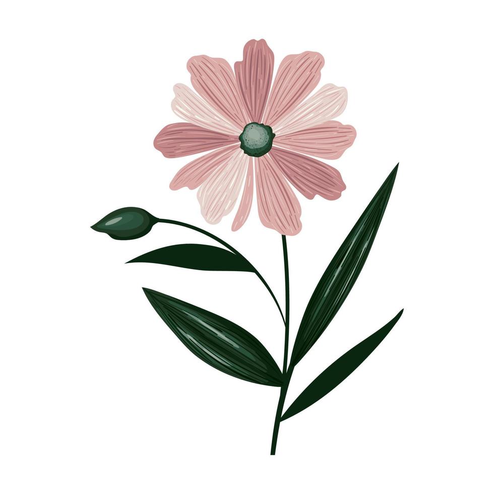 pink flower illustration vector