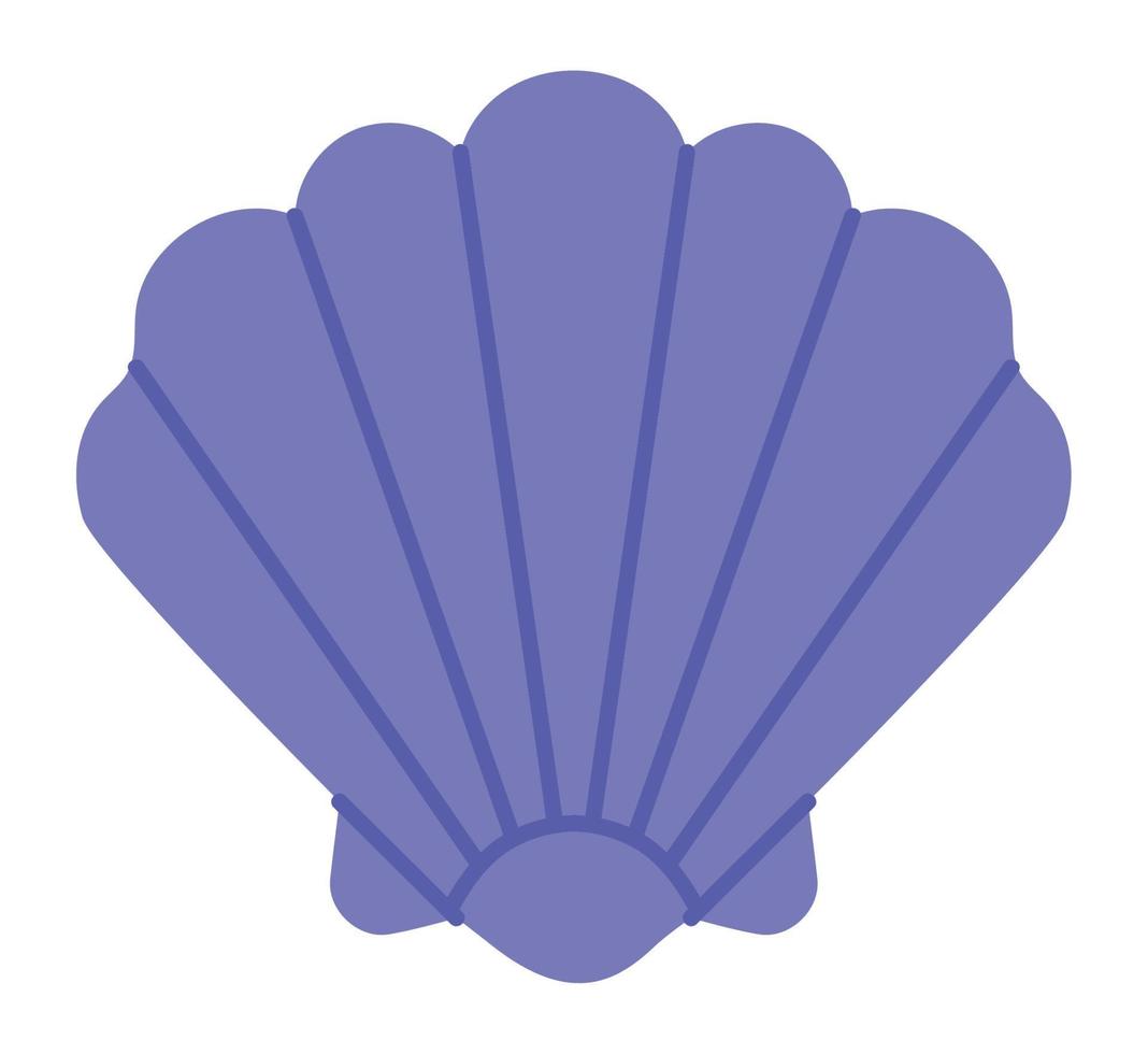 purple conch shell vector