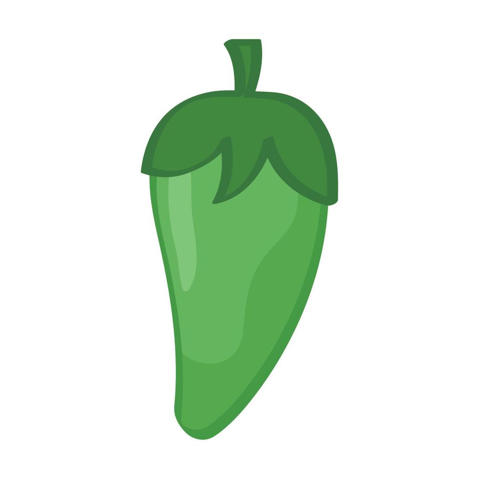 green chili pepper vector