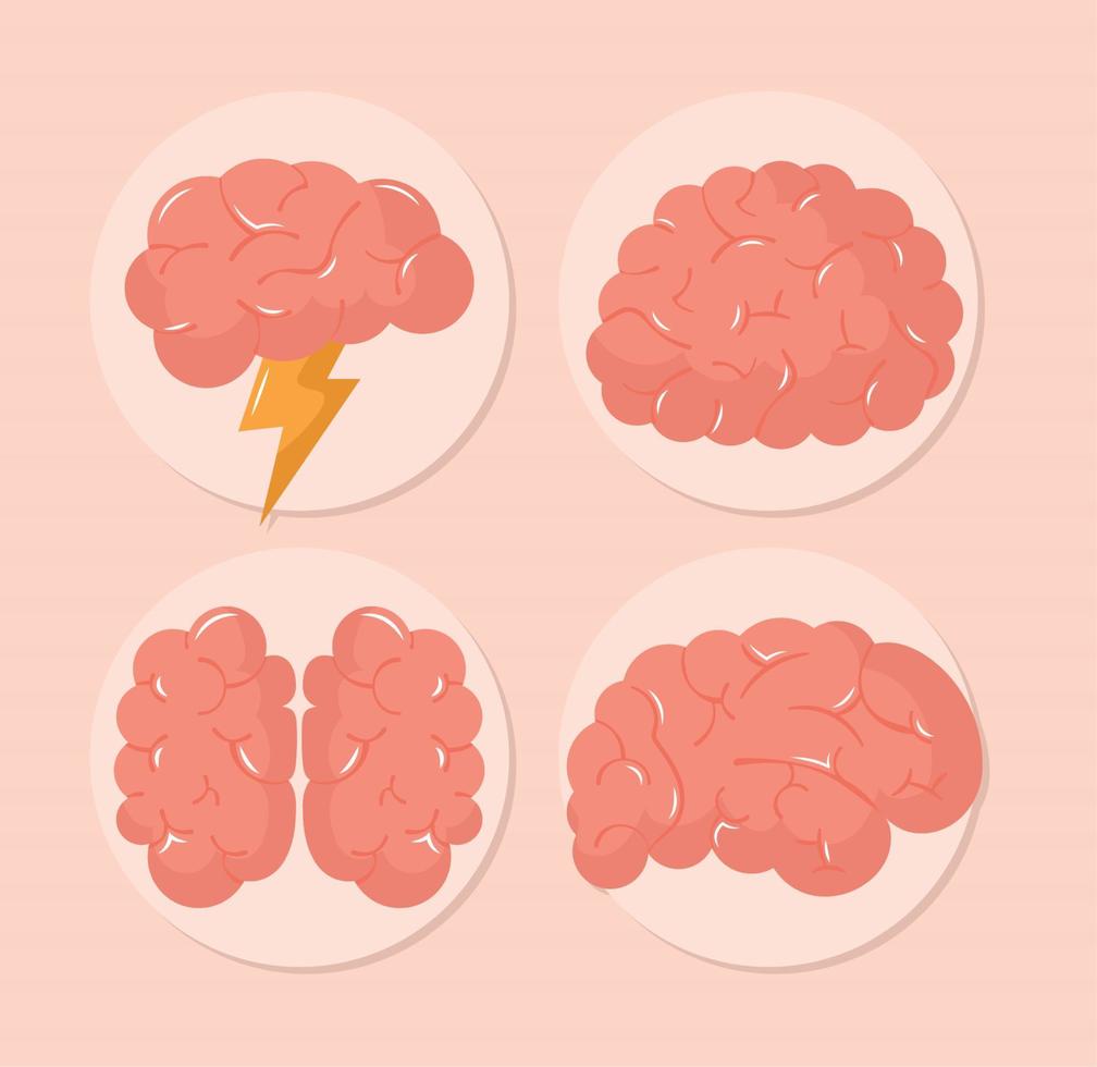 four colored brains vector