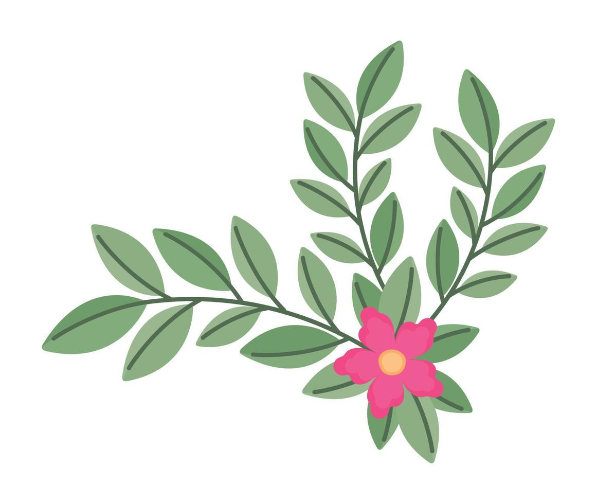 branch with pink flower vector