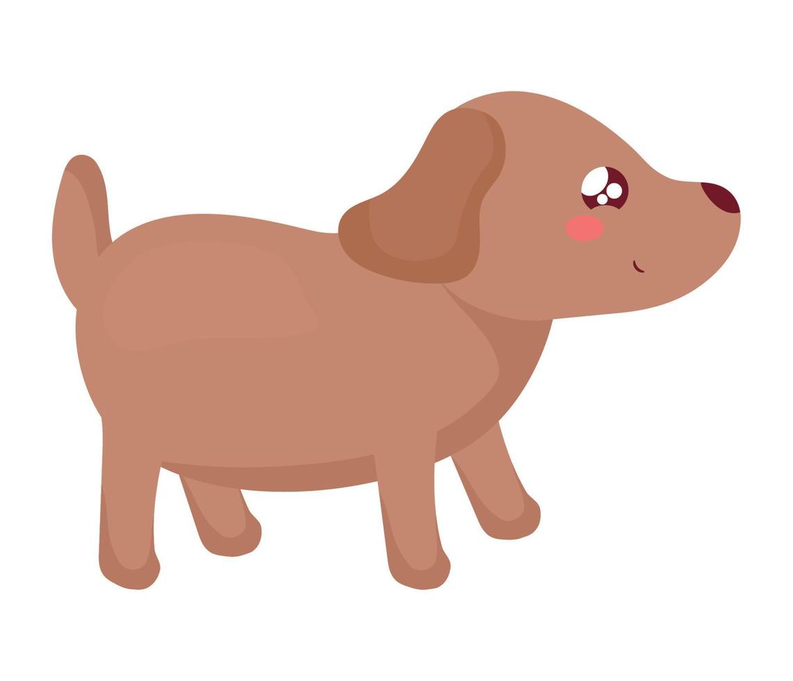 kawaii dog design vector