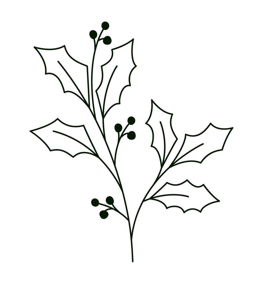 mistletoe plant design vector