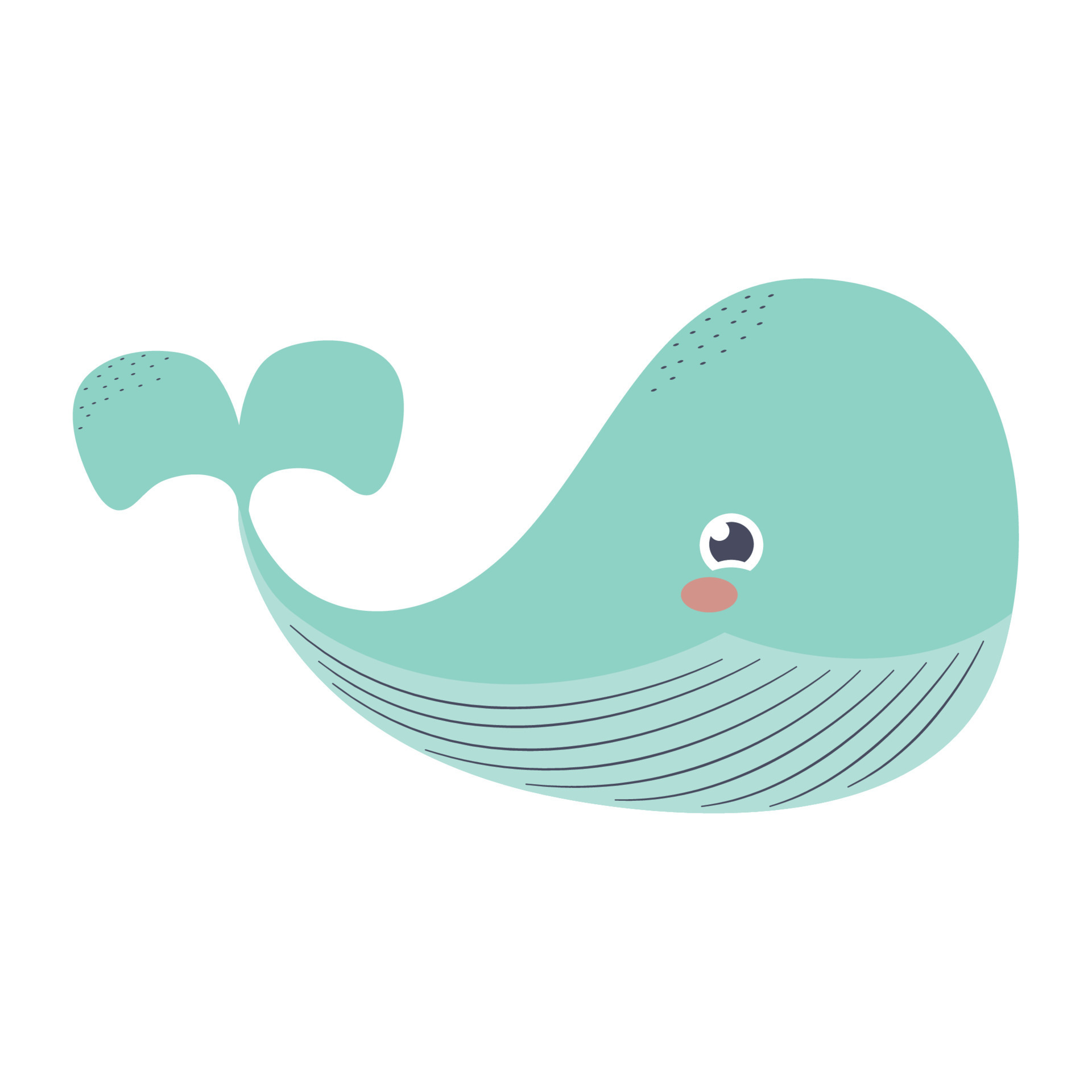 Blue Whale Illustration
 blue whale illustration Vector Art at Vecteezy