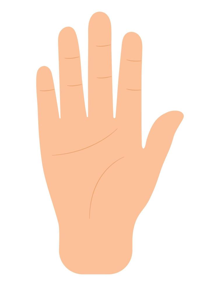 hand palm illustration vector