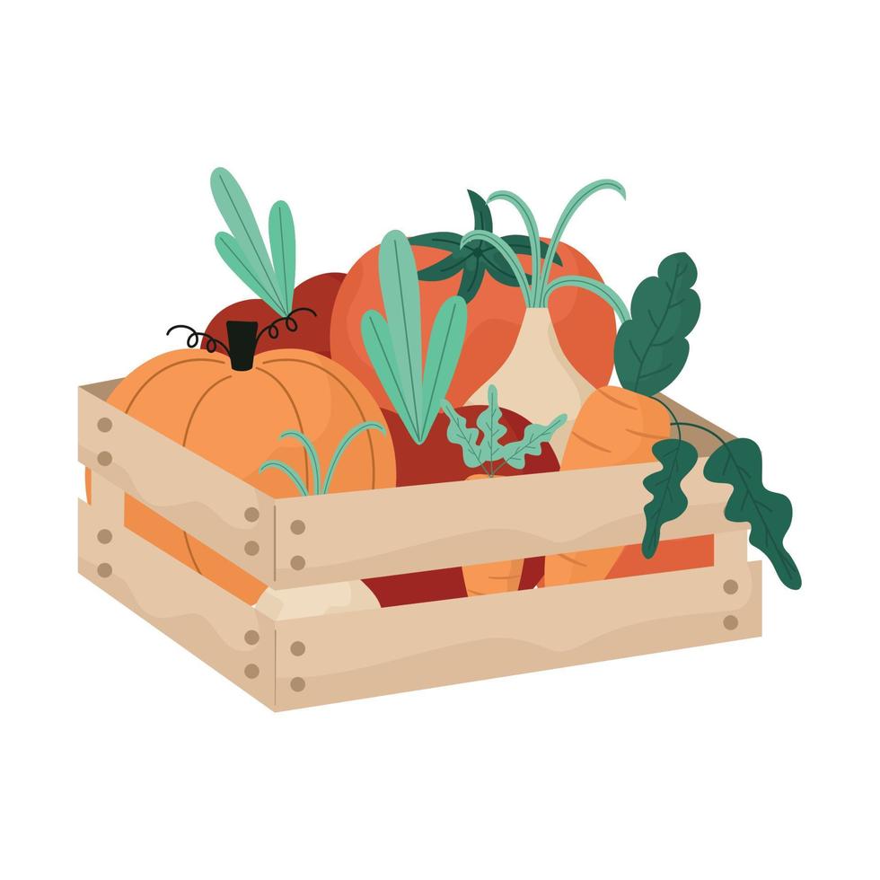 vegetables basket illustration vector