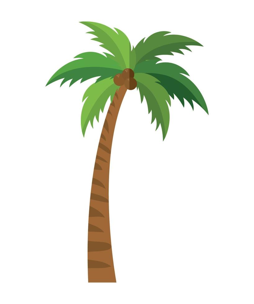 big palm design vector