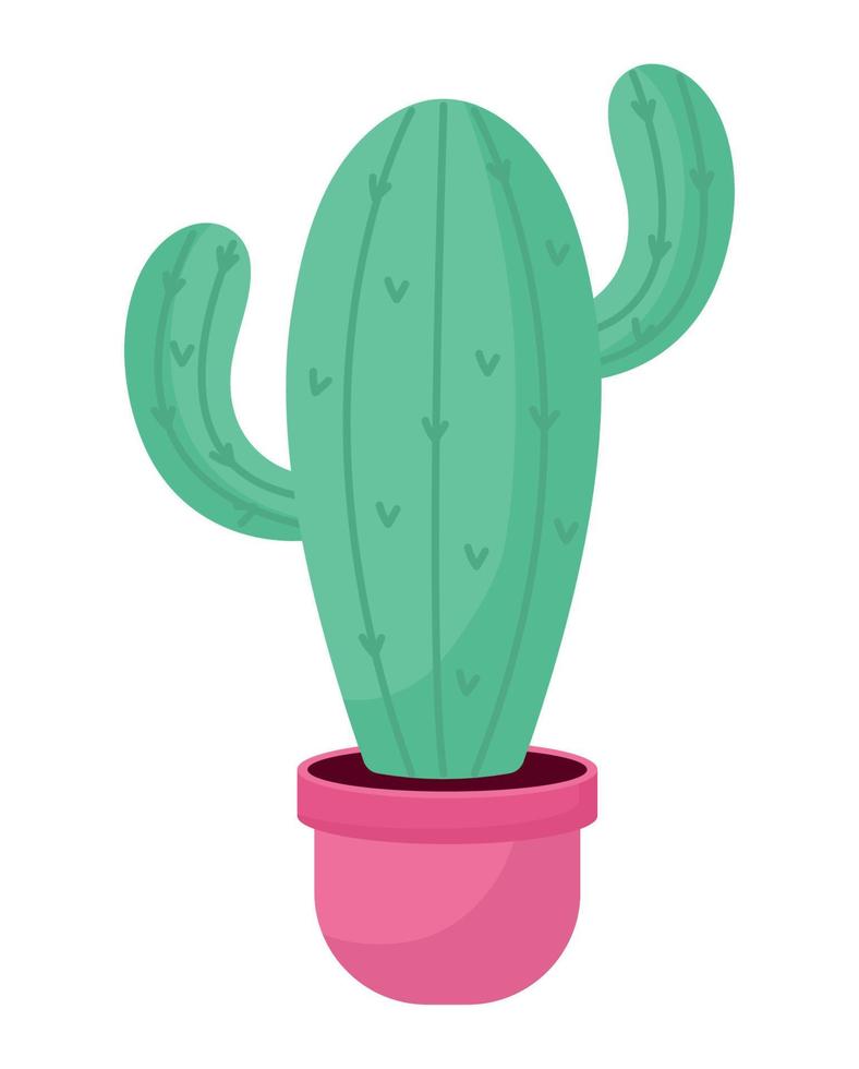 cactus on pink pot vector