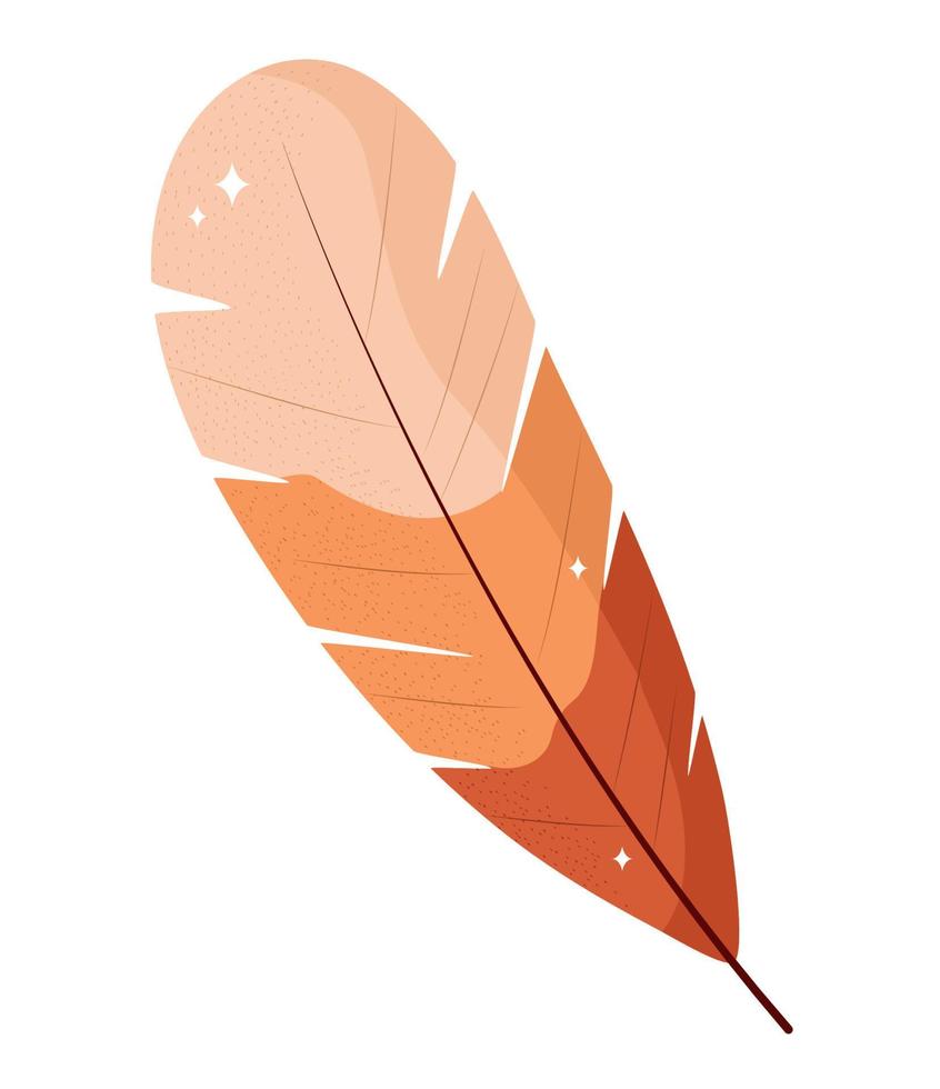 naranja pluma diseño vector