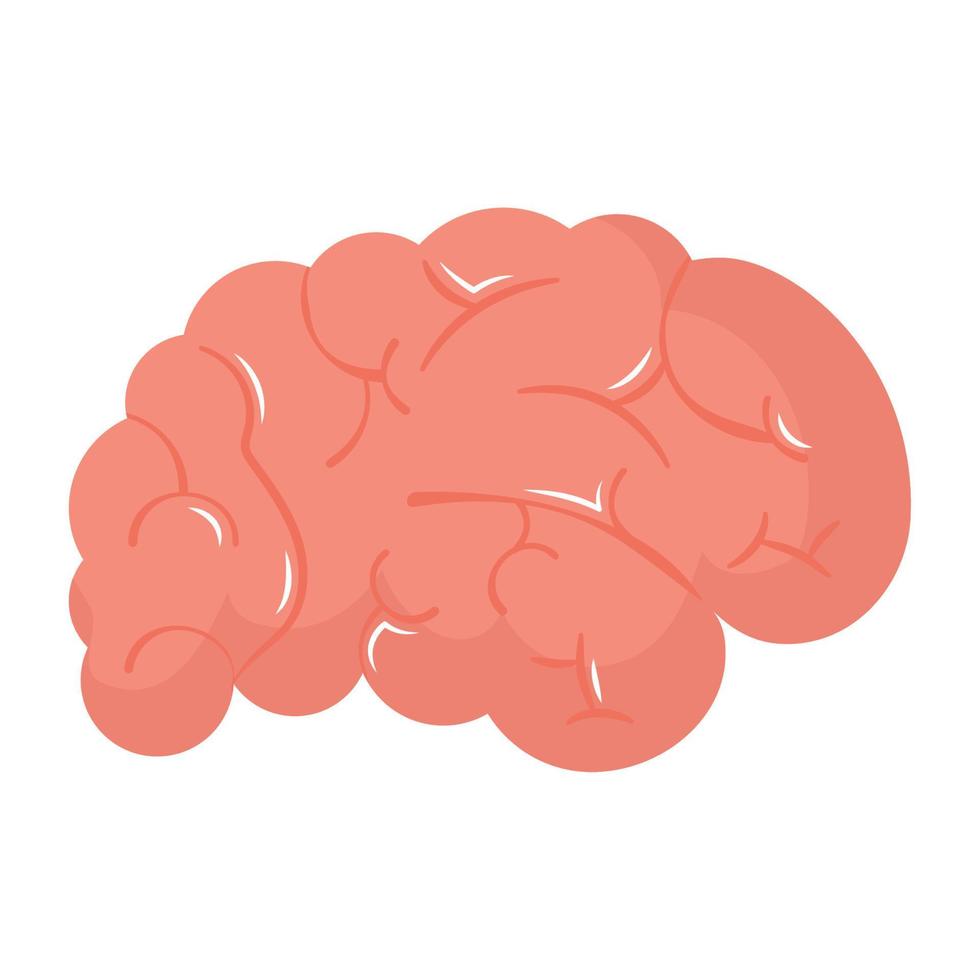 ilustración del cerebro humano vector