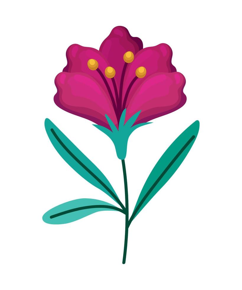 diseño de flor rosa vector