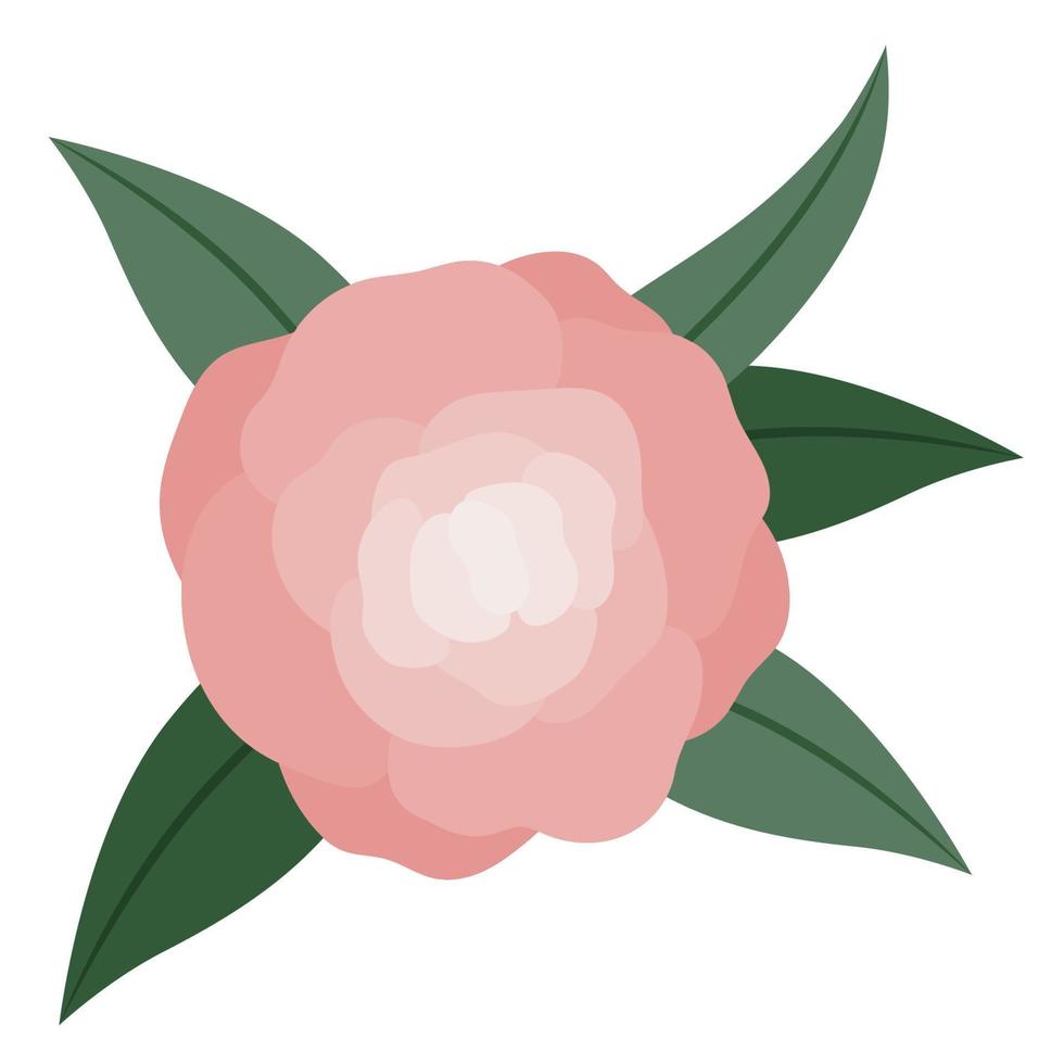 flower with leaves vector