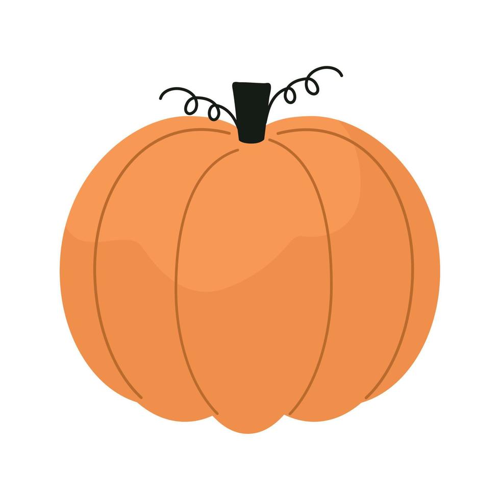 orange pumpkin design vector