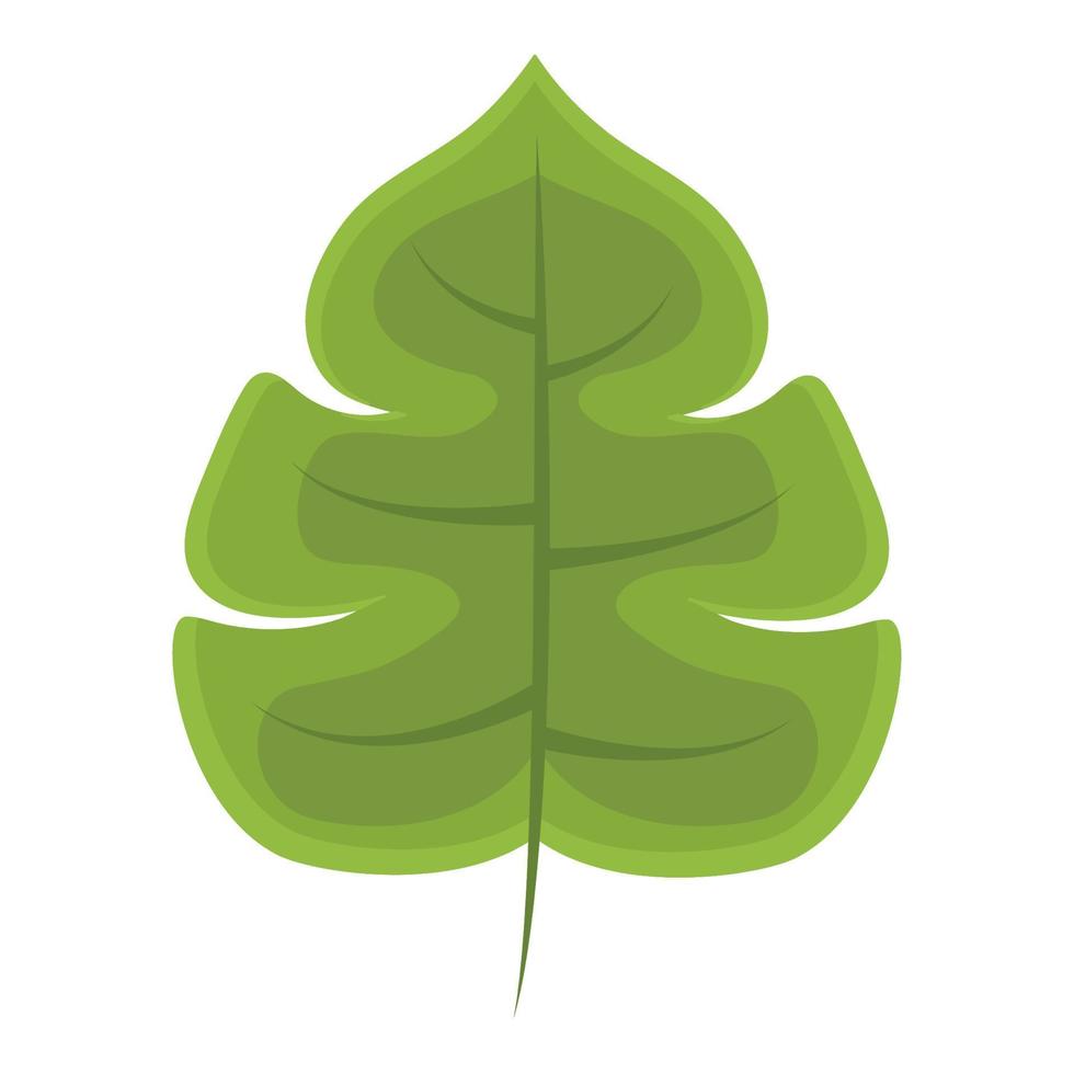 green leaf illustration vector