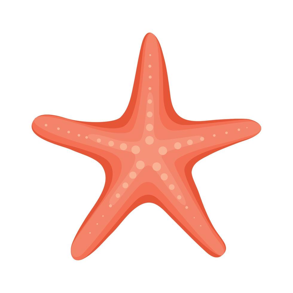 red starfish design vector