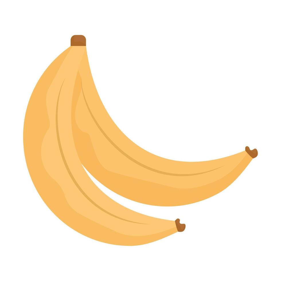 yellow bananas pair vector