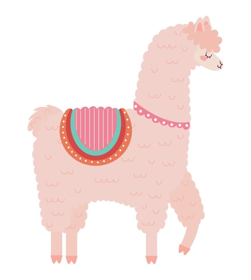 pretty llama design vector