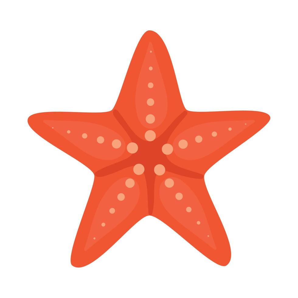 rojo estrella de mar diseño vector