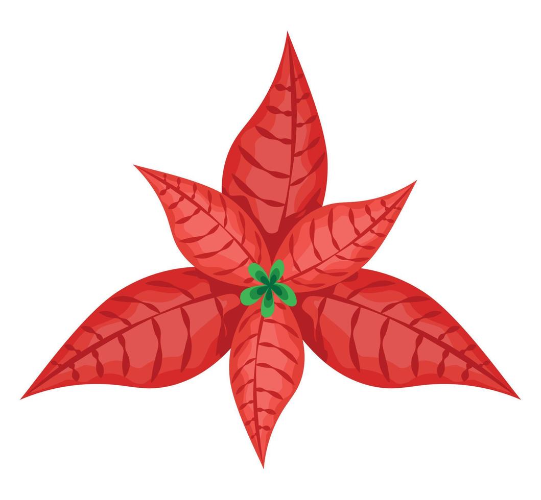 red mistletoe design vector