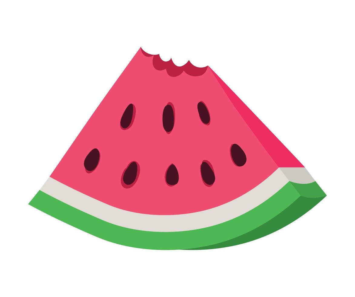 fresh watermelon illustration vector