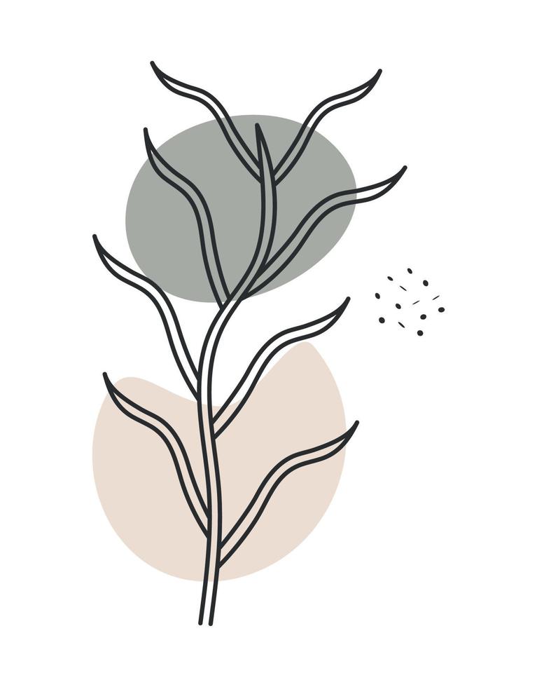 botany plant design vector