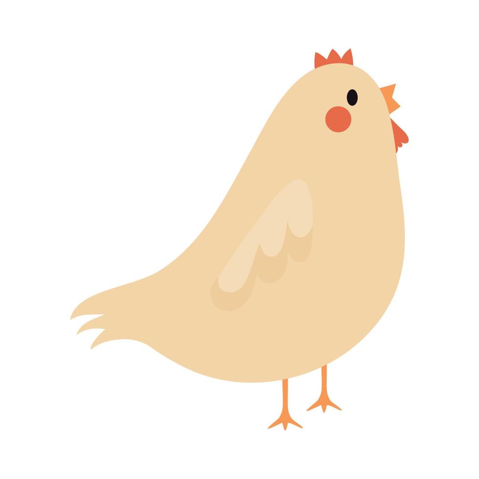 linda pollo diseño vector