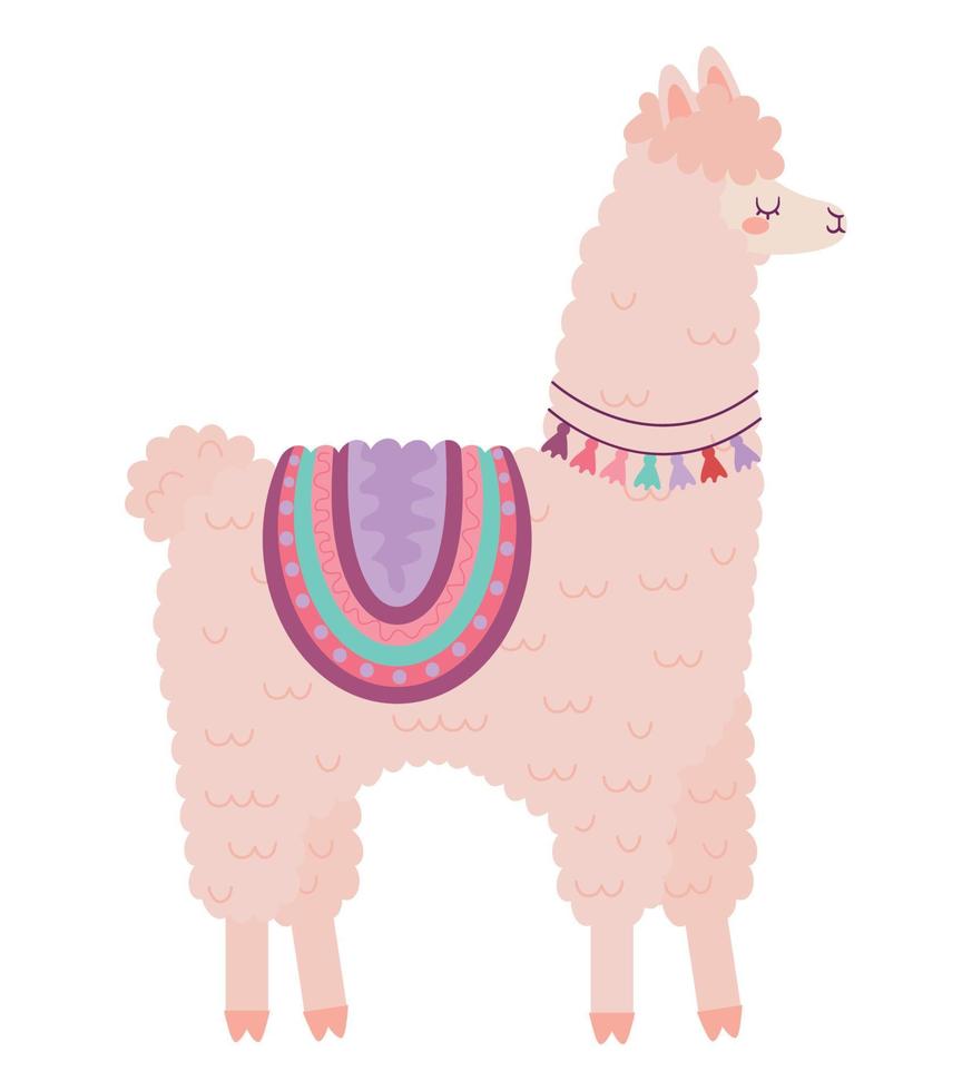 standing llama illustration vector