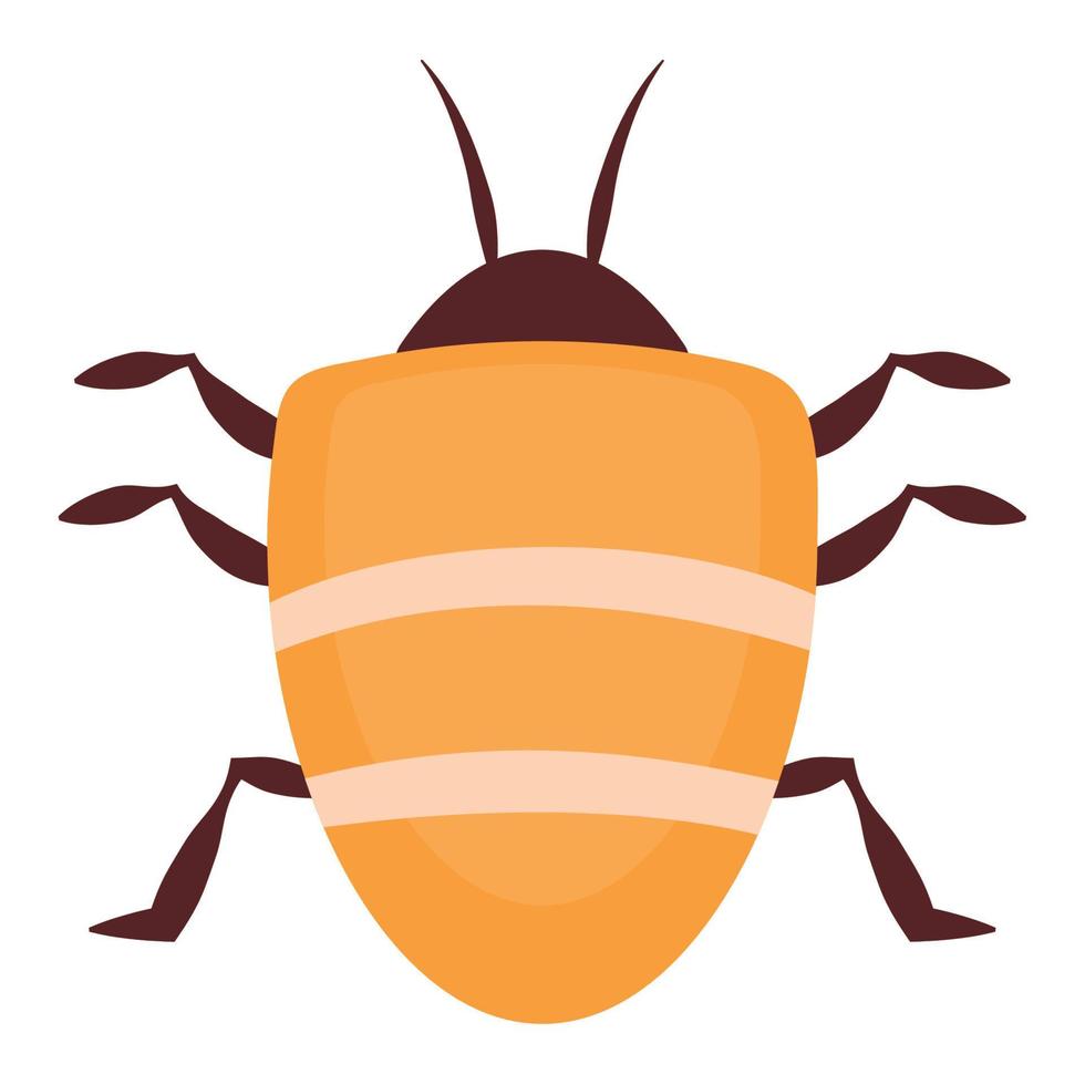 colored scarab illustration vector