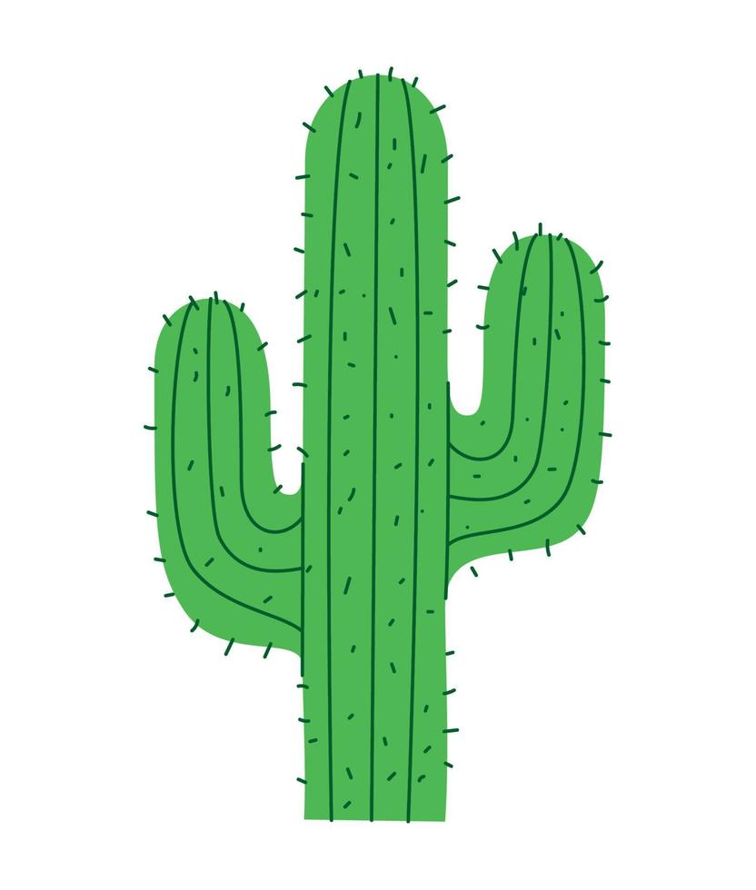 diseño de cactus verde vector