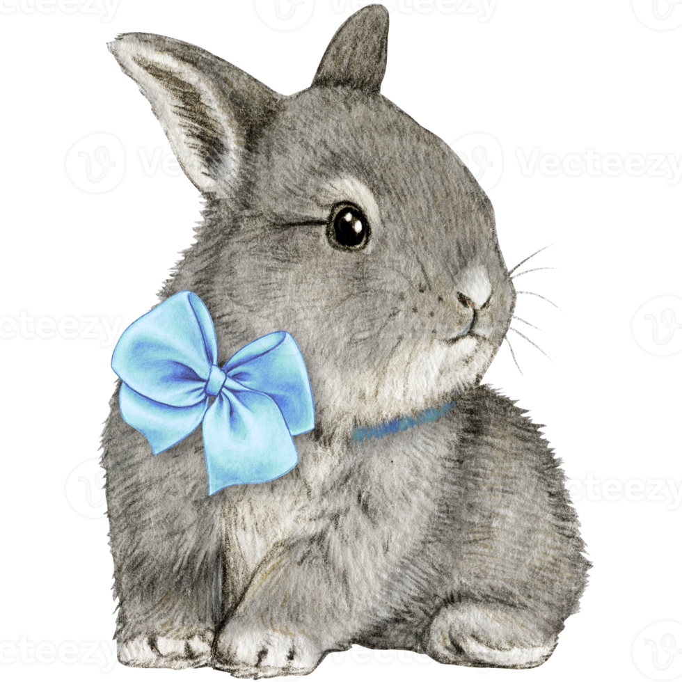 watercolor hand drawn realistic bunny png